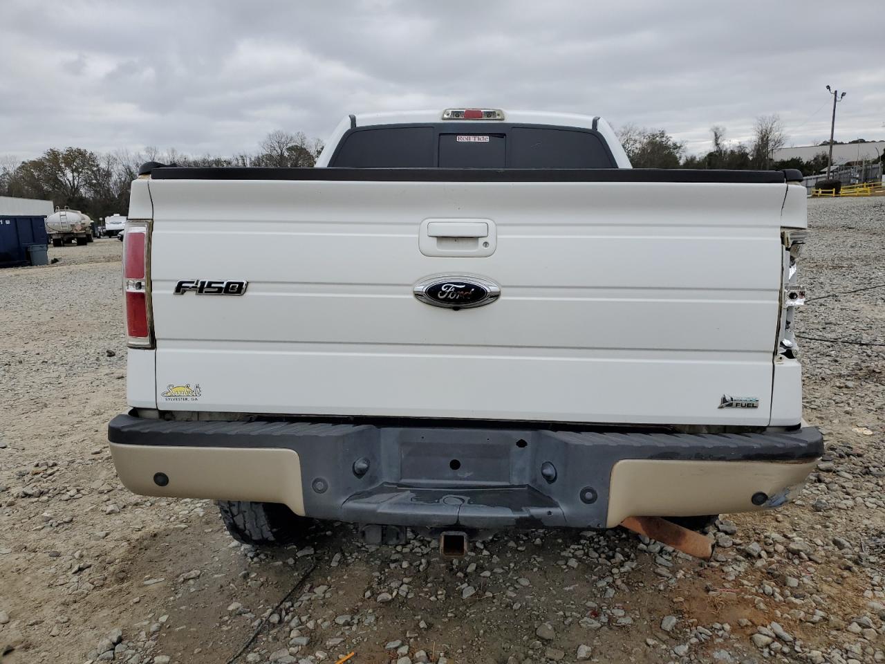 2010 Ford F-150 VIN 1FTFW1EV8AFB08755 Copart auction photo, all over damage thumbnail 6