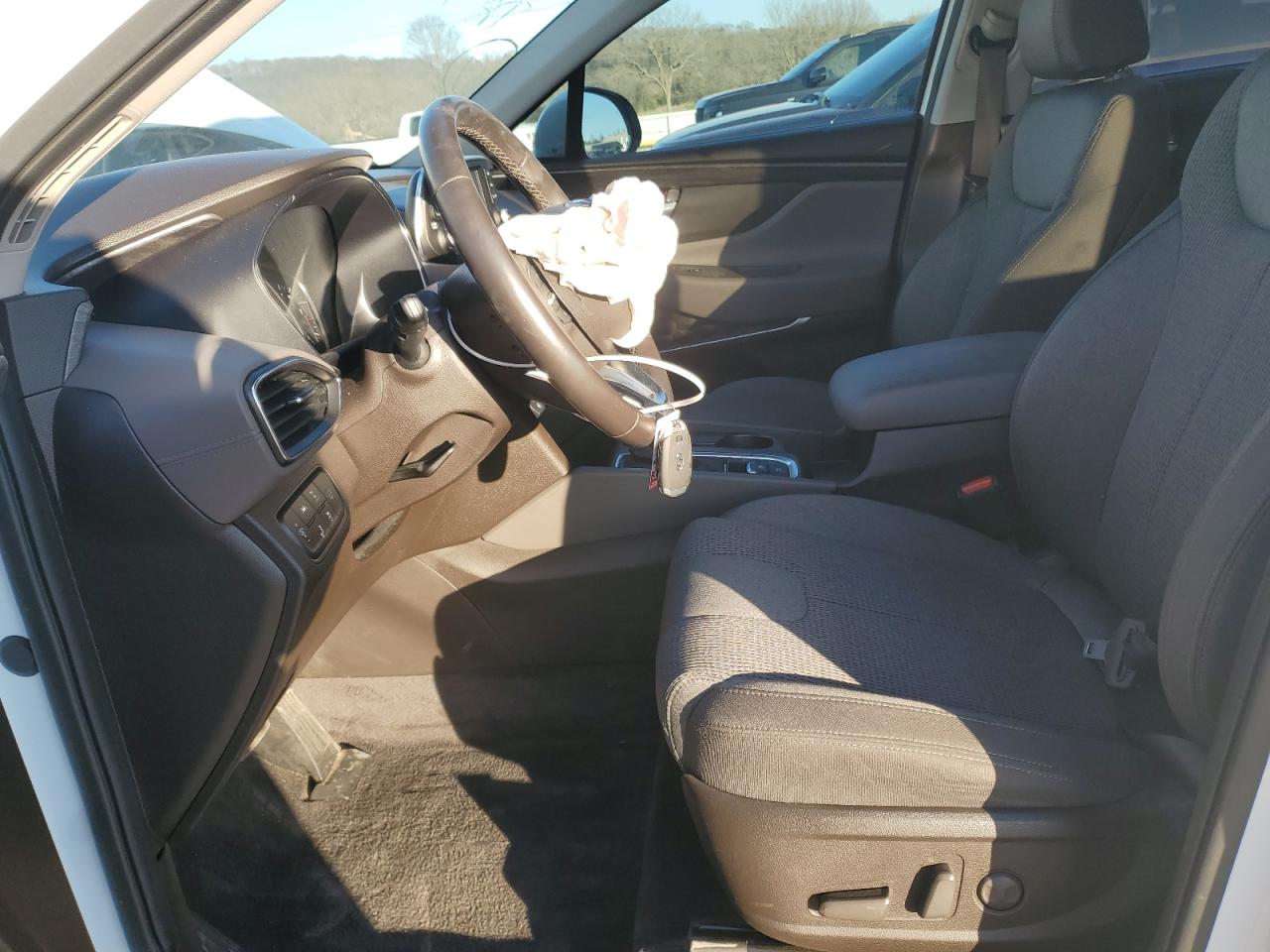 2020 Hyundai Santa Fe VIN 5NMS3CAD7LH260032 Copart auction photo, all over damage thumbnail 7
