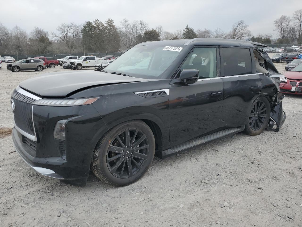 2025 Infiniti QX80 VIN JN8AZ3BB4S9400172 - Copart auction photo