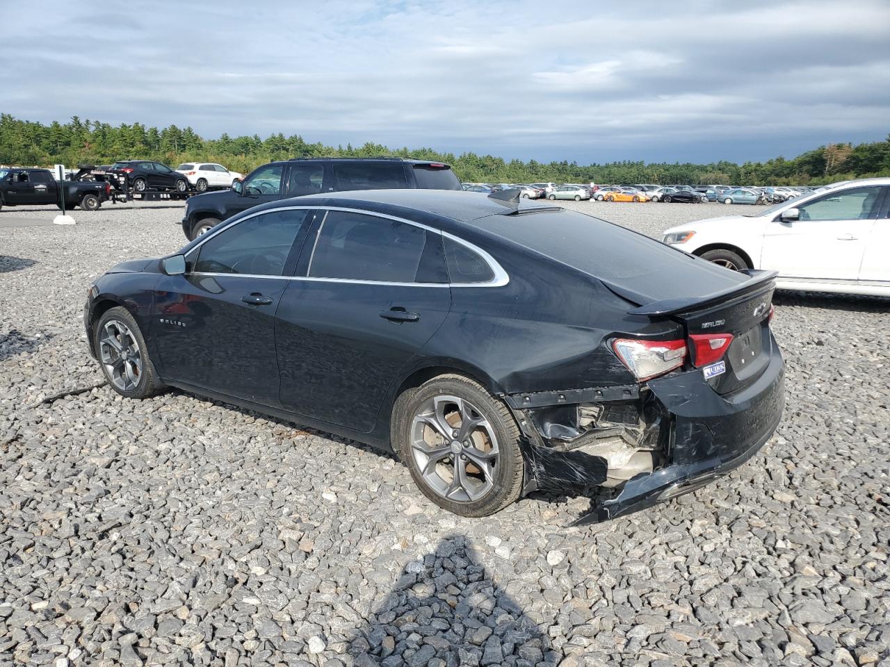 2019 Chevrolet Malibu VIN 1G1ZG5ST2KF190920 Copart auction photo, rear end damage thumbnail 2