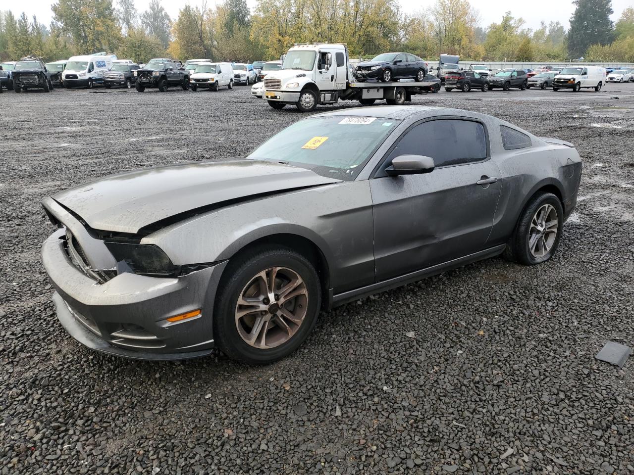 2013 Ford Mustang VIN 1ZVBP8AM1D5248137