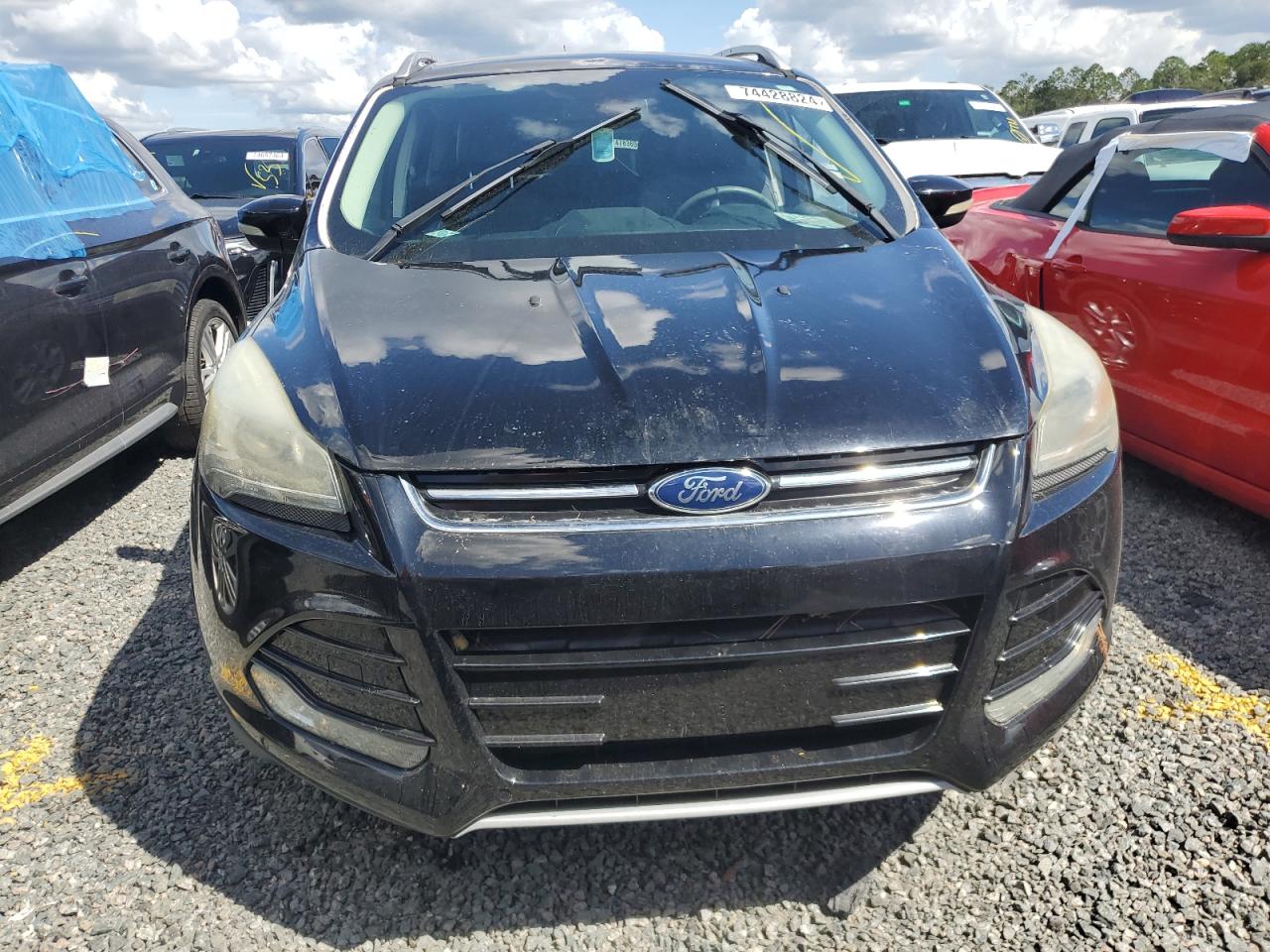 2016 Ford Escape VIN 1FMCU0JX9GUB34985 Copart auction photo, water/flood damage thumbnail 5