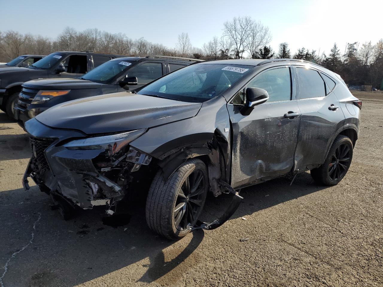 2022 Lexus NX VIN 2T2KGCEZ9NC003484