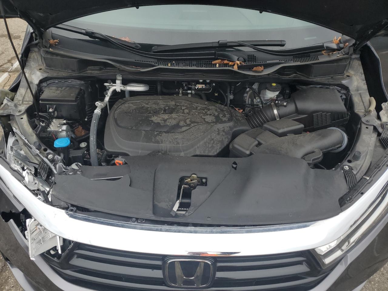 2024 Honda Odyssey VIN 5FNRL6H84RB009388 Copart auction photo, front end / side damage thumbnail 13