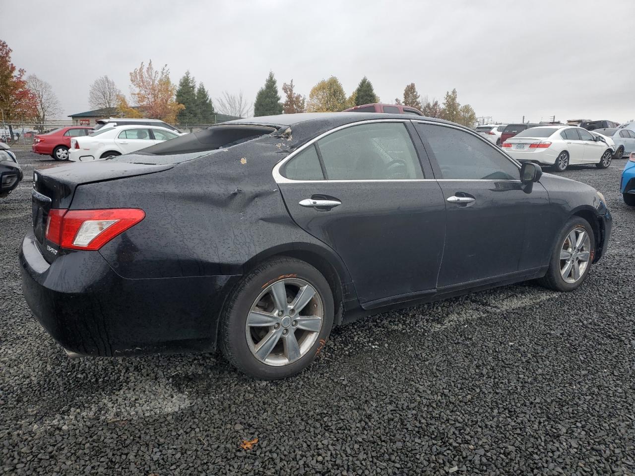 2009 Lexus ES VIN JTHBJ46G192289942 Copart auction photo, rear end / top/roof damage thumbnail 3