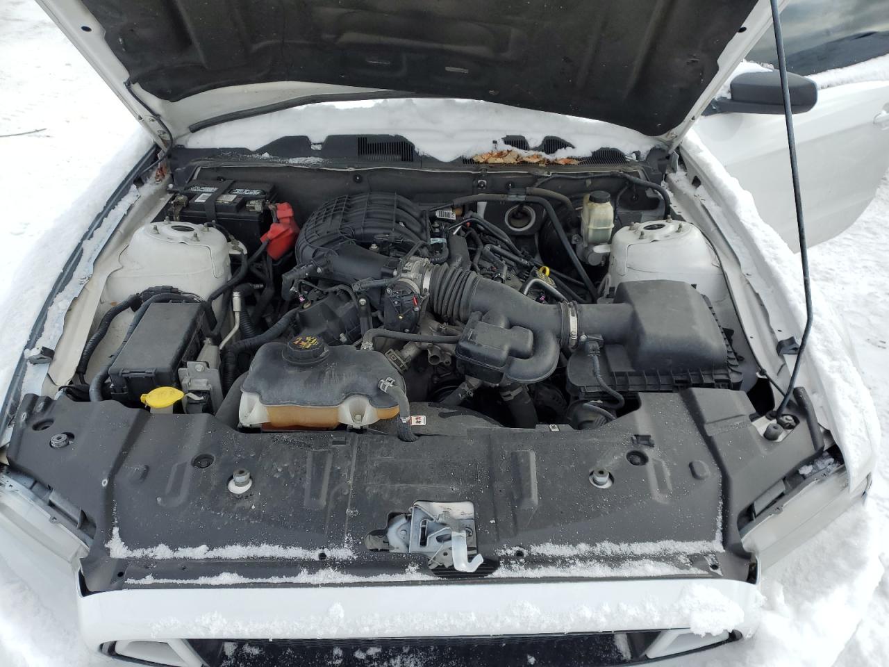 2014 Ford Mustang VIN 1ZVBP8AM6E5284049 Copart auction photo, all over damage thumbnail 11
