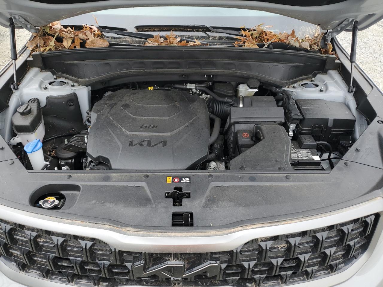 2023 KIA Telluride VIN 5XYP5DGC1PG327079 Copart auction photo, top/roof / rear end damage thumbnail 12
