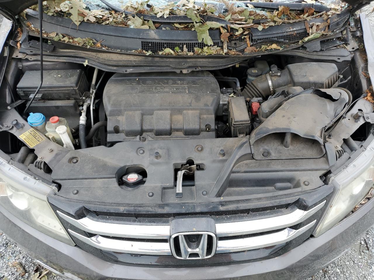 2015 Honda Odyssey VIN 5FNRL5H95FB023816 Copart auction photo, top/roof damage thumbnail 12