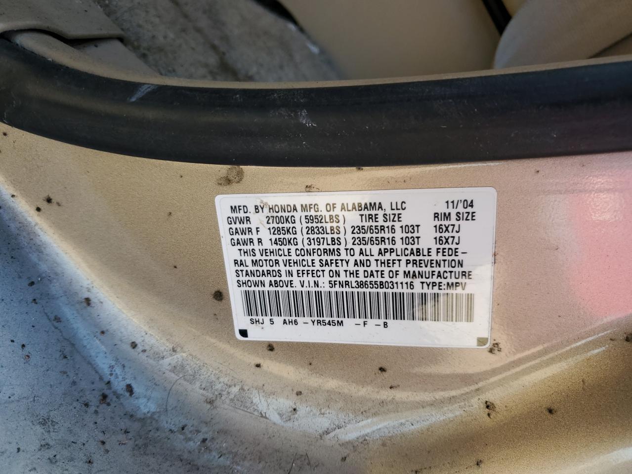 2005 Honda Odyssey VIN 5FNRL38655B031116 Copart auction photo, all over damage thumbnail 13
