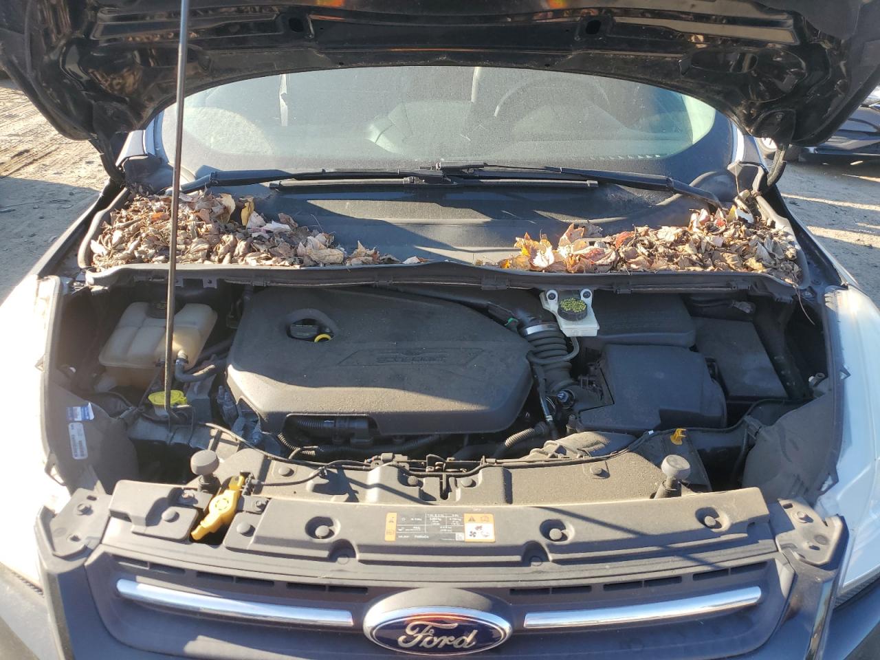 2014 Ford Escape VIN 1FMCU0GX0EUB25726 Copart auction photo, all over damage thumbnail 12