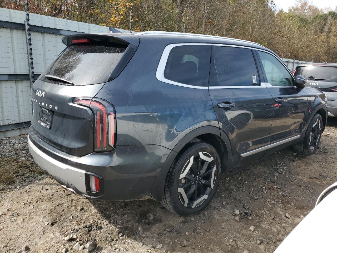 2024 KIA Telluride VIN 5XYP34GC2RG425904 Copart auction photo, water/flood damage thumbnail 3