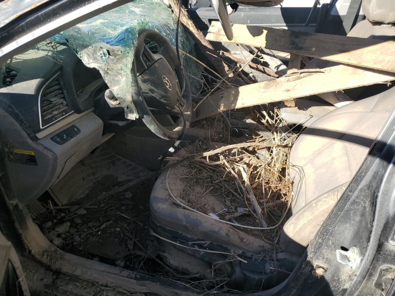 2018 Hyundai Elantra VIN 5NPD84LF7JH354183 Copart auction photo, water/flood / rollover damage thumbnail 7