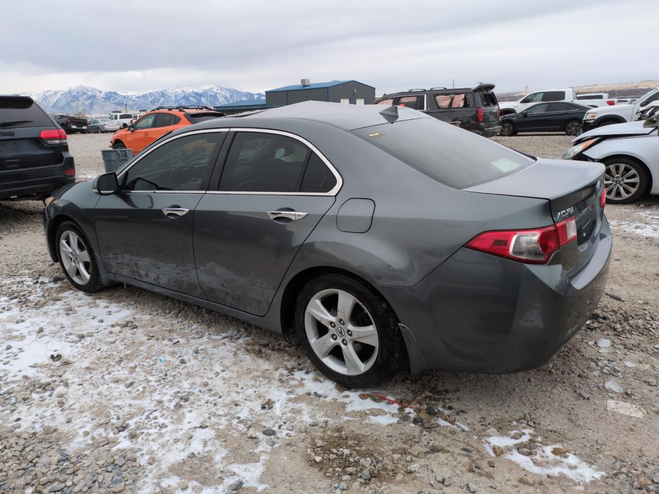 2009 Acura TSX VIN JH4CU26669C023740 Copart auction photo, side damage thumbnail 2