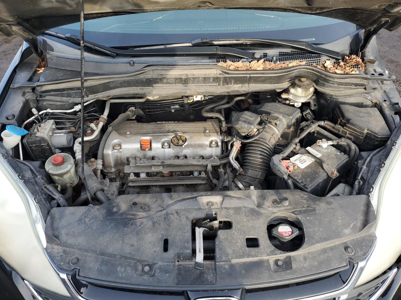 2010 Honda CR-V VIN 5J6RE4H52AL058590 Copart auction photo, front end / minor dent/scratches damage thumbnail 11