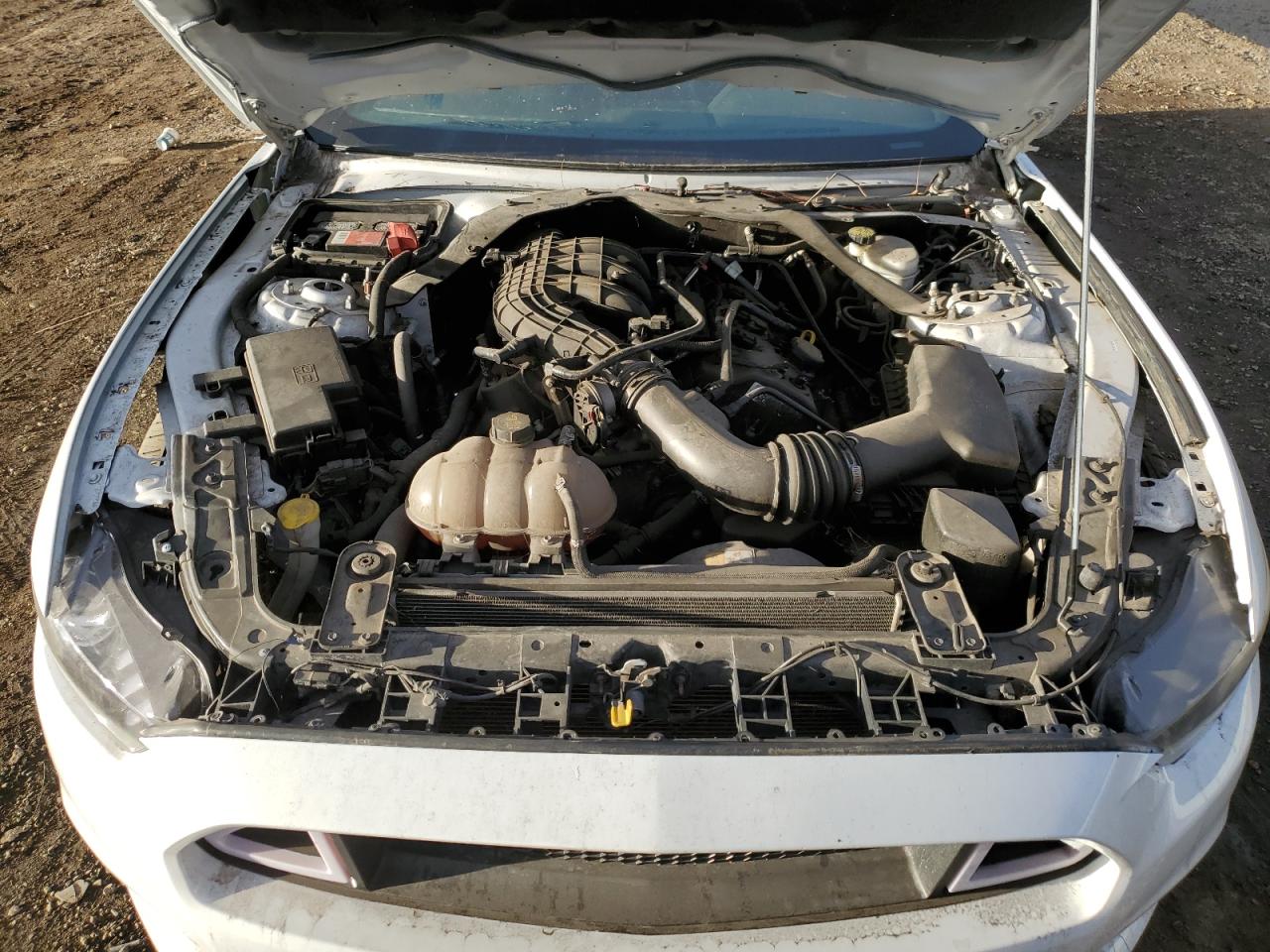 2016 Ford Mustang VIN 1FATP8EM7G5243021 Copart auction photo, vandalism damage thumbnail 11
