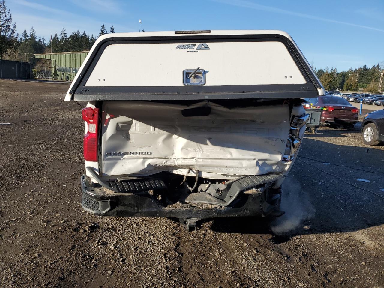2020 Chevrolet Silverado VIN 3GCUYAEFXLG305888 Copart auction photo, rear end / side damage thumbnail 6