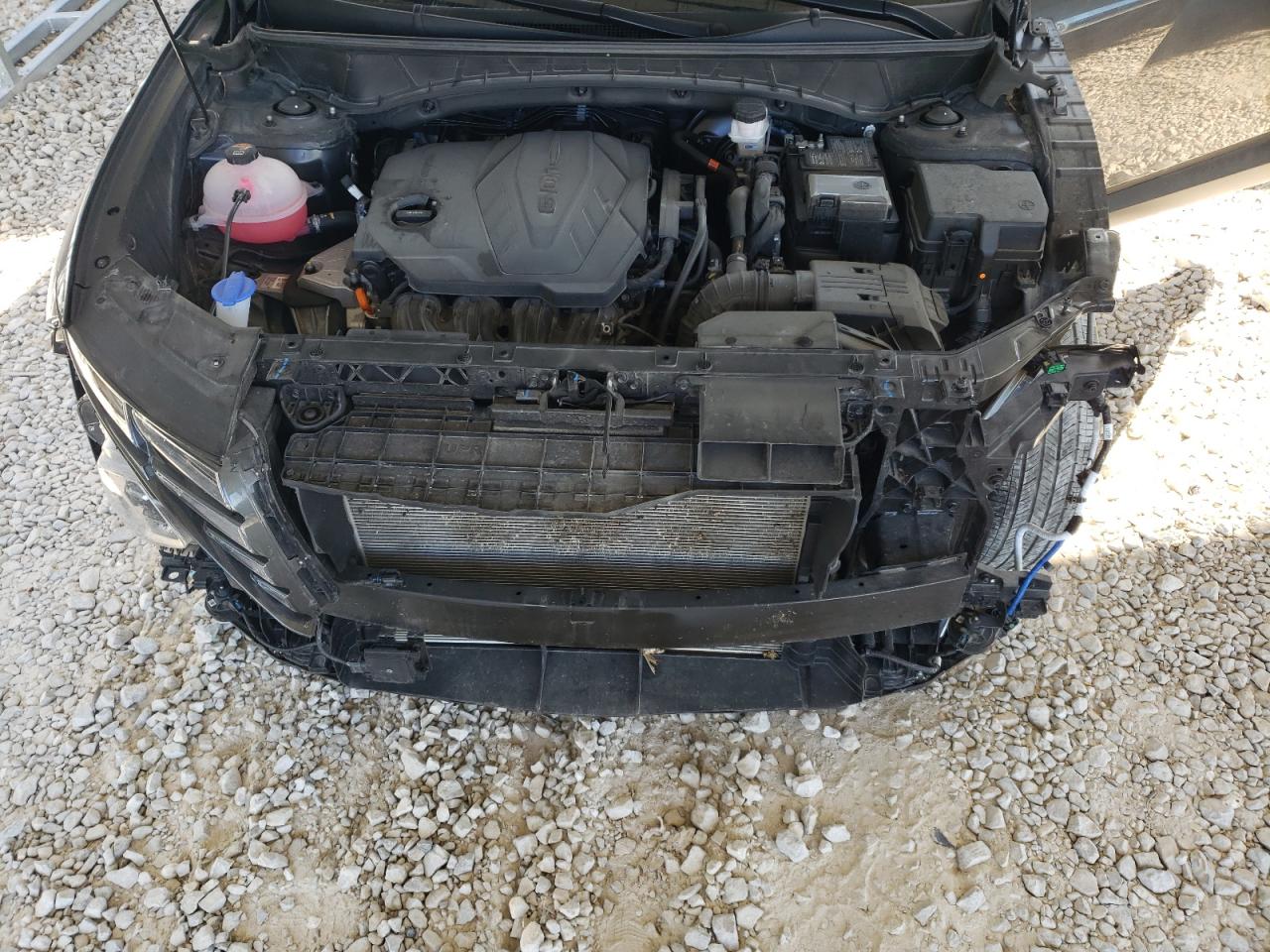 2024 Hyundai Tucson VIN 5NMJBCDE3RH303406 Copart auction photo, front end / side damage thumbnail 12
