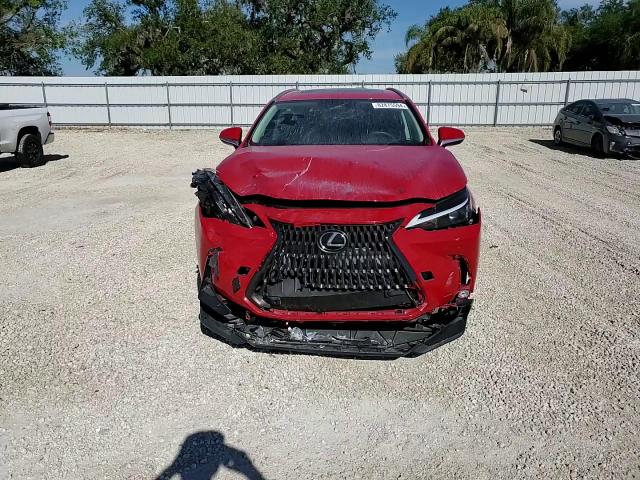 2023 Lexus NX VIN 2T2GDCAZ3PC005206 Copart auction photo, front end damage thumbnail 11