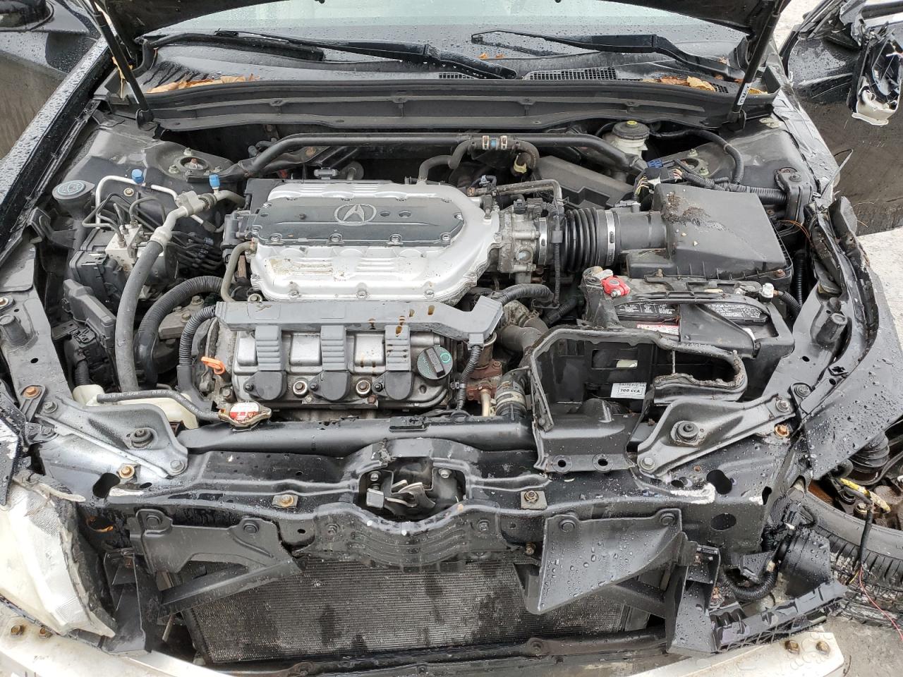 2011 Acura TL VIN 19UUA8F29BA007081 Copart auction photo, all over damage thumbnail 13