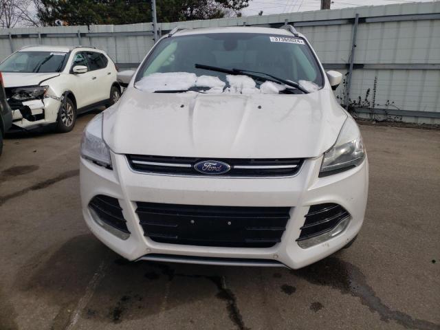 2014 Ford Escape VIN 1FMCU0JX0EUE56315 Copart auction photo, side damage thumbnail 5