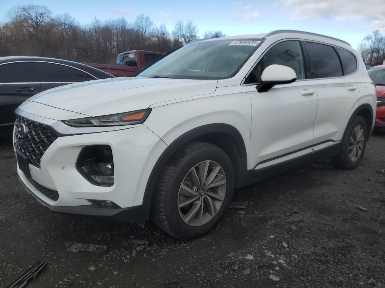 2019 Hyundai Santa Fe VIN 5NMS3CAD4KH012030