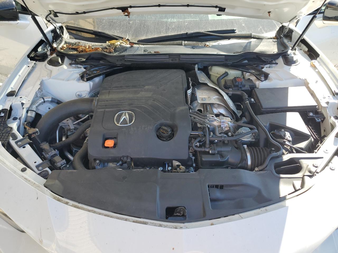 2023 Acura TLX VIN 19UUB7F96PA000035 Copart auction photo, rear end damage thumbnail 11