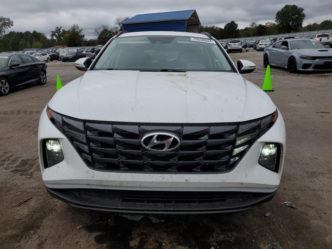 2023 Hyundai Tucson VIN KM8JBCA12PU116855 Copart auction photo, side / rear end damage thumbnail 5