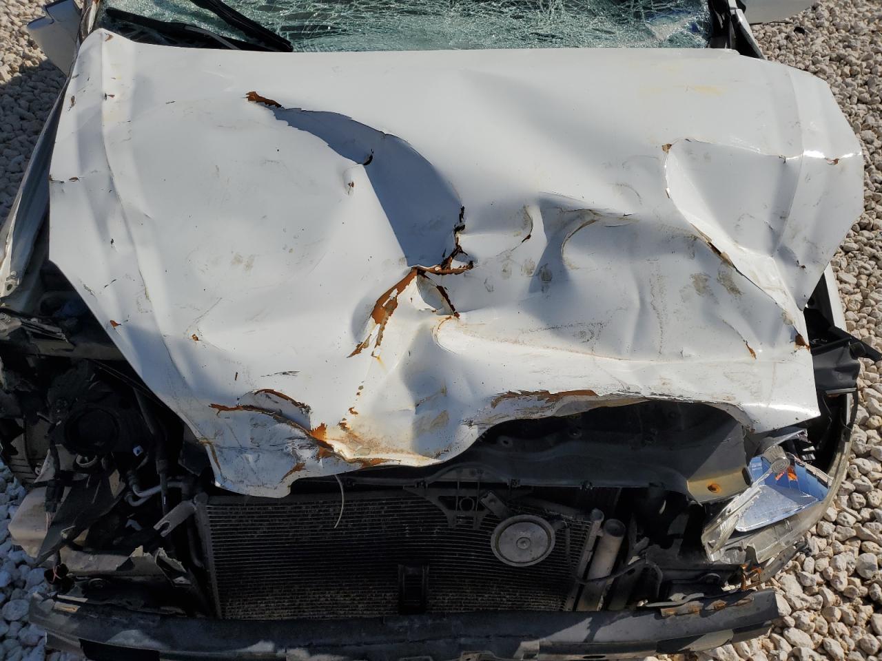 2009 Hyundai Accent VIN KMHCN46C09U387349 Copart auction photo, front end / frame damage damage thumbnail 12