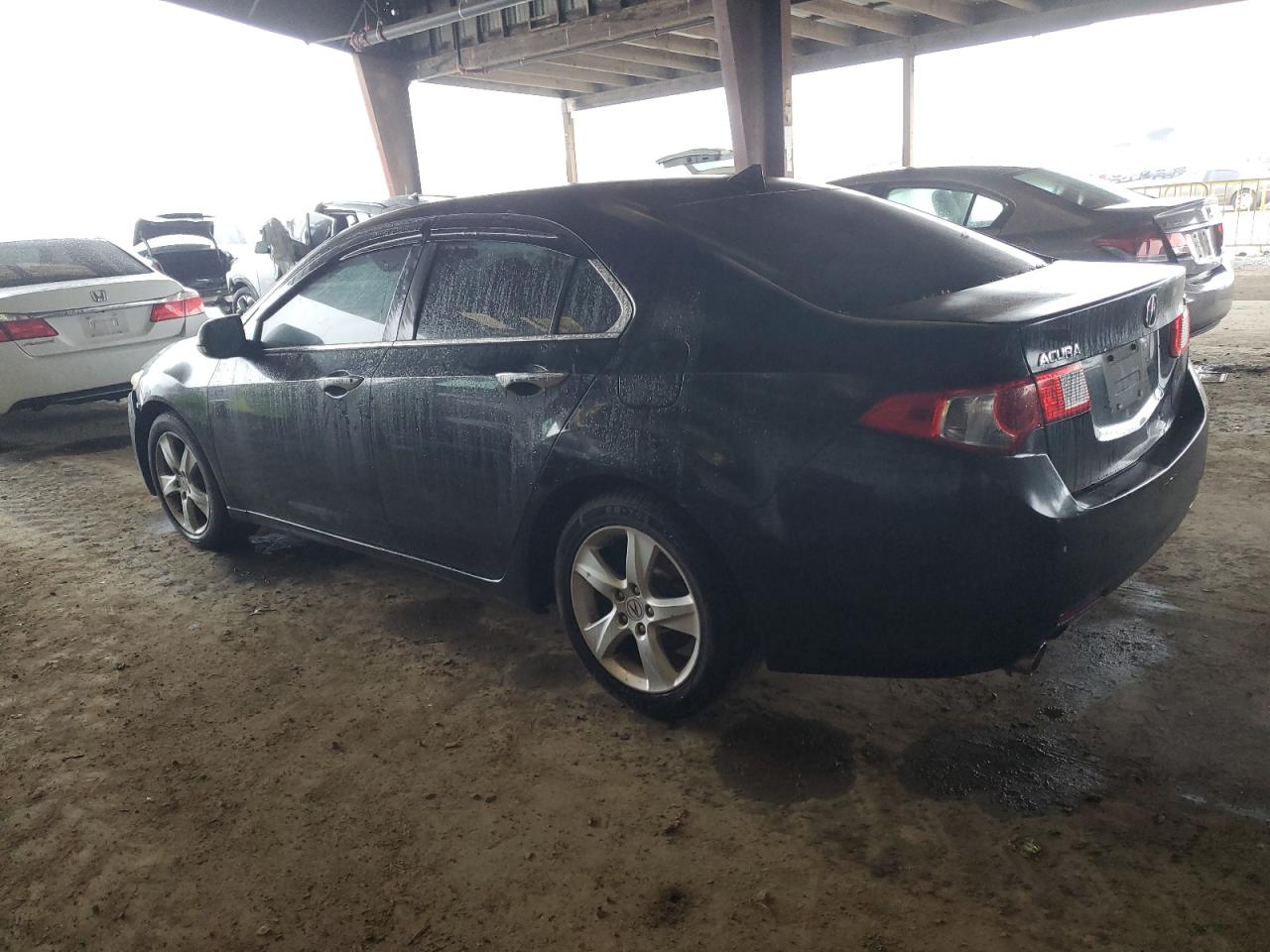 2009 Acura TSX VIN JH4CU26619C031051 Copart auction photo, water/flood damage thumbnail 2