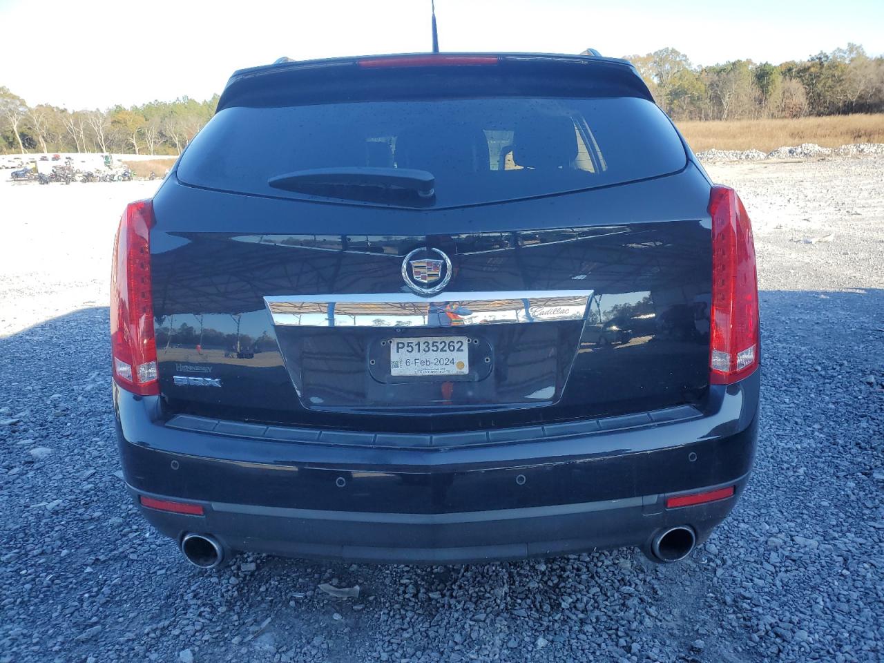 2010 Cadillac SRX VIN 3GYFNCEY8AS517871 Copart auction photo, front end / rear end damage thumbnail 6