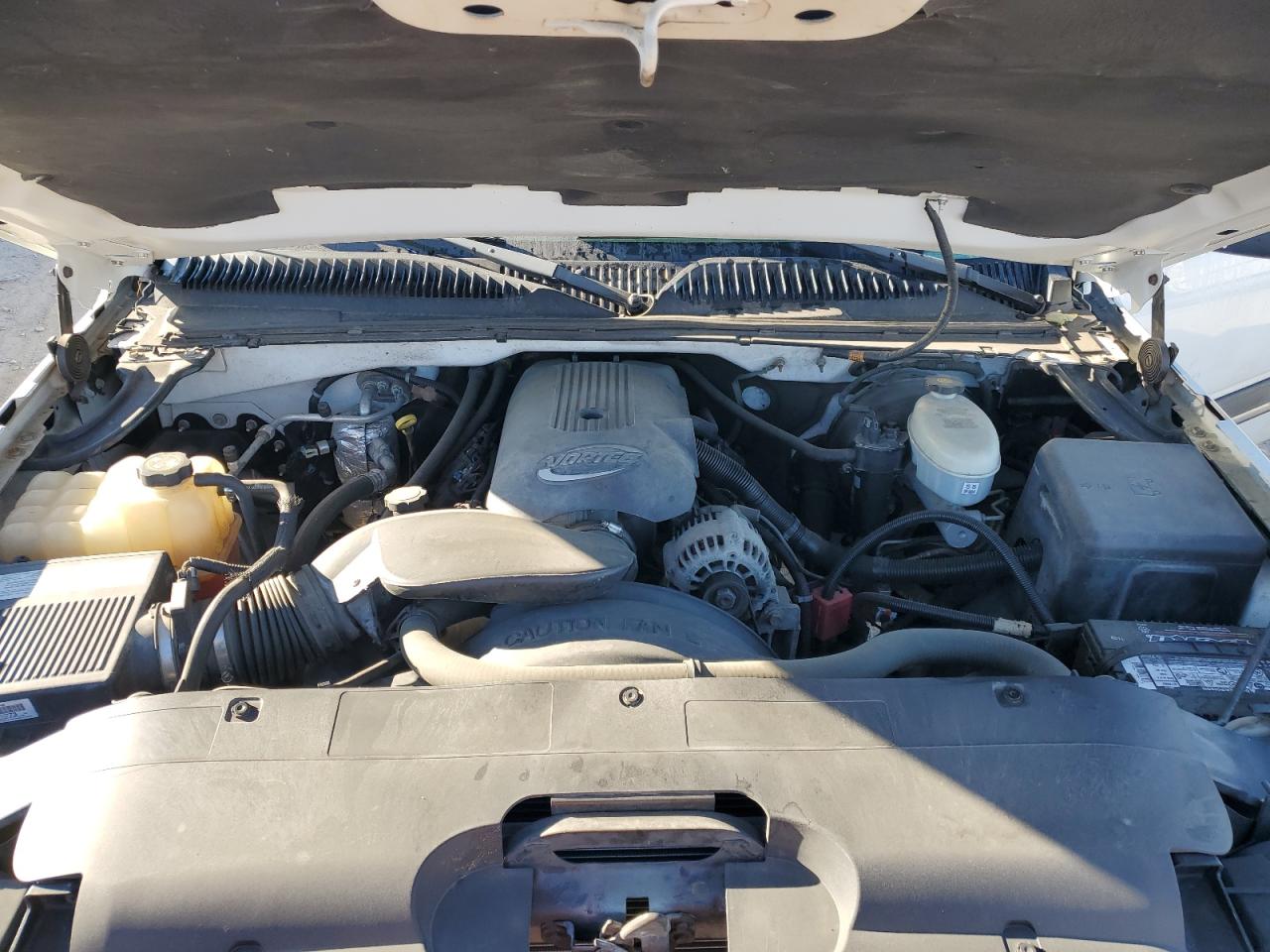 2003 Chevrolet Silverado VIN 1GCEC14VX3Z224773 Copart auction photo, all over damage thumbnail 11