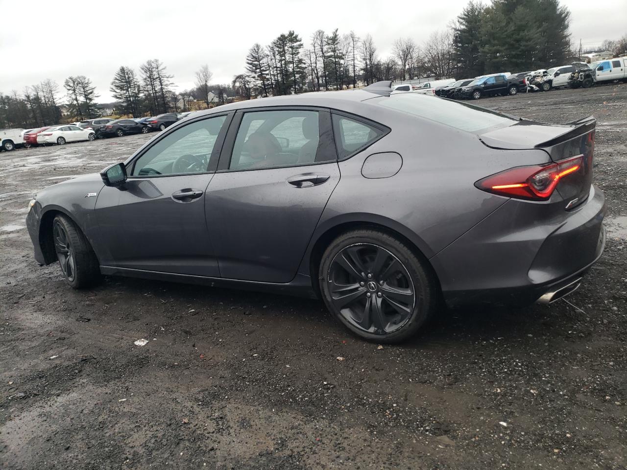 2021 Acura TLX VIN 19UUB6F59MA004180 Copart auction photo, rear end / minor dent/scratches damage thumbnail 2