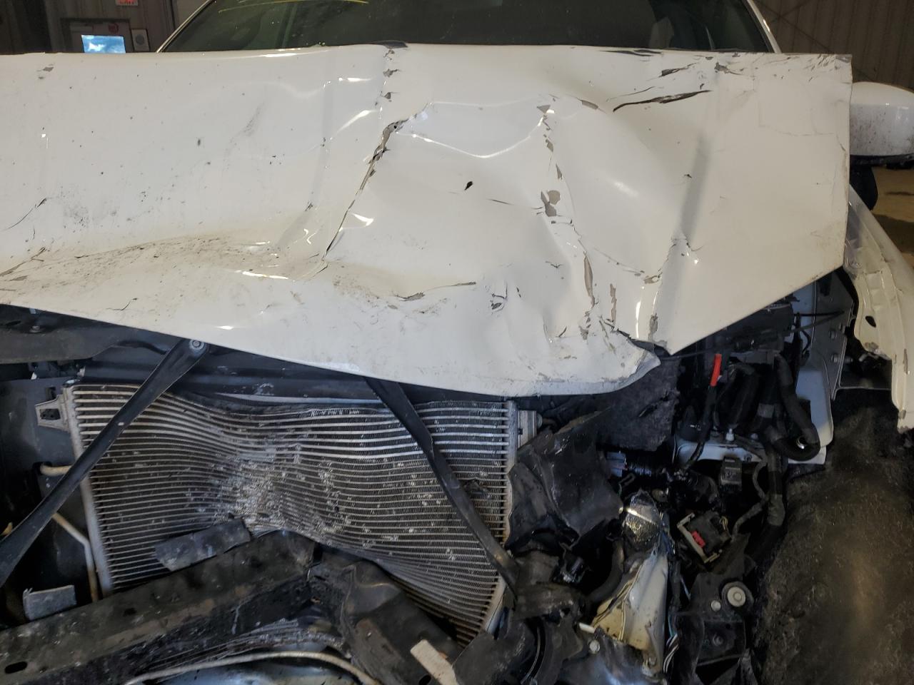 2019 Dodge Caravan VIN 2C4RDGCG0KR545590 Copart auction photo, side / front end damage thumbnail 14