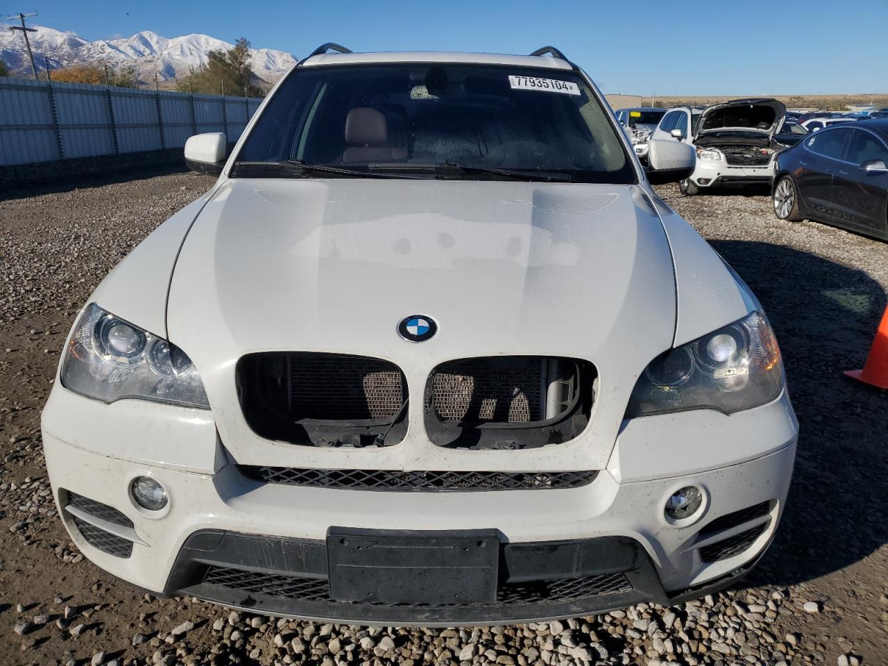 2013 BMW X5 VIN 5UXZV4C55D0B22710 Copart auction photo, hail damage thumbnail 5