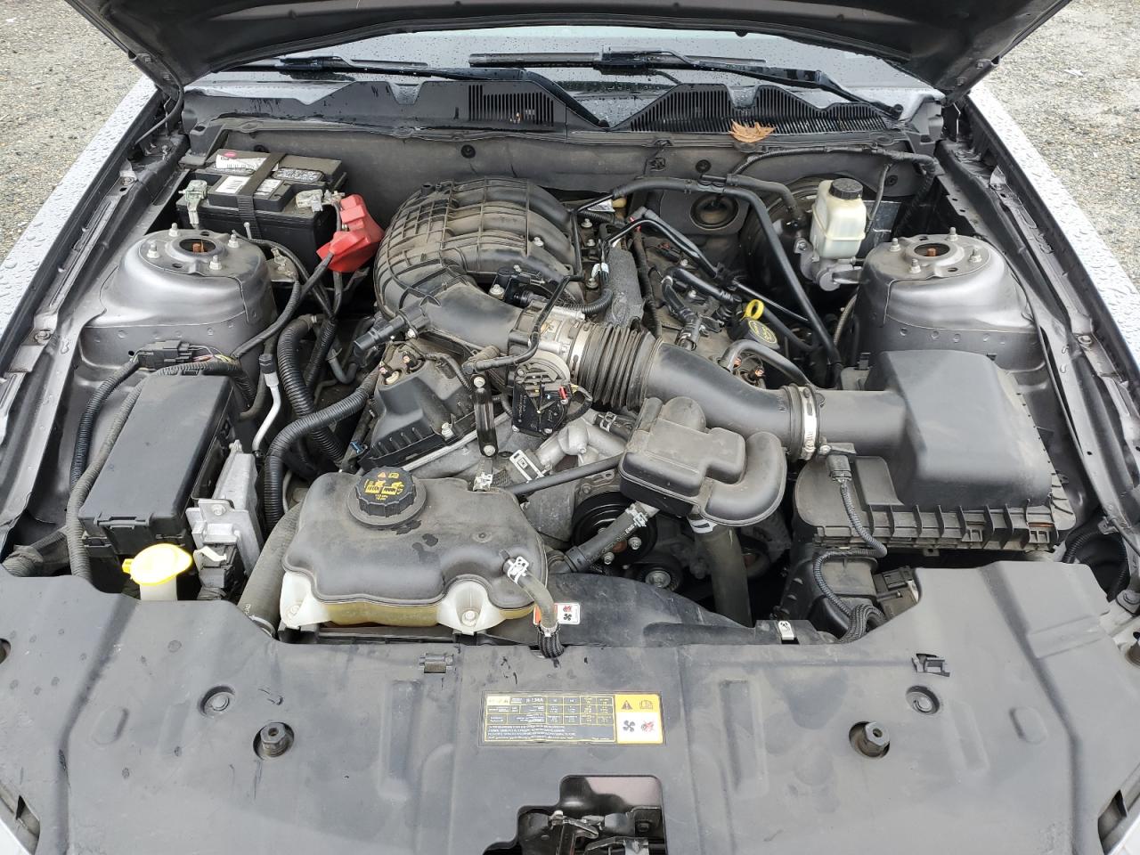 2014 Ford Mustang VIN 1ZVBP8AM1E5310265 Copart auction photo, all over damage thumbnail 11
