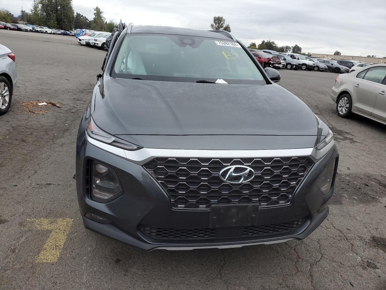2020 Hyundai Santa Fe VIN 5NMS3CAD7LH210246 Copart auction photo, all over damage thumbnail 5