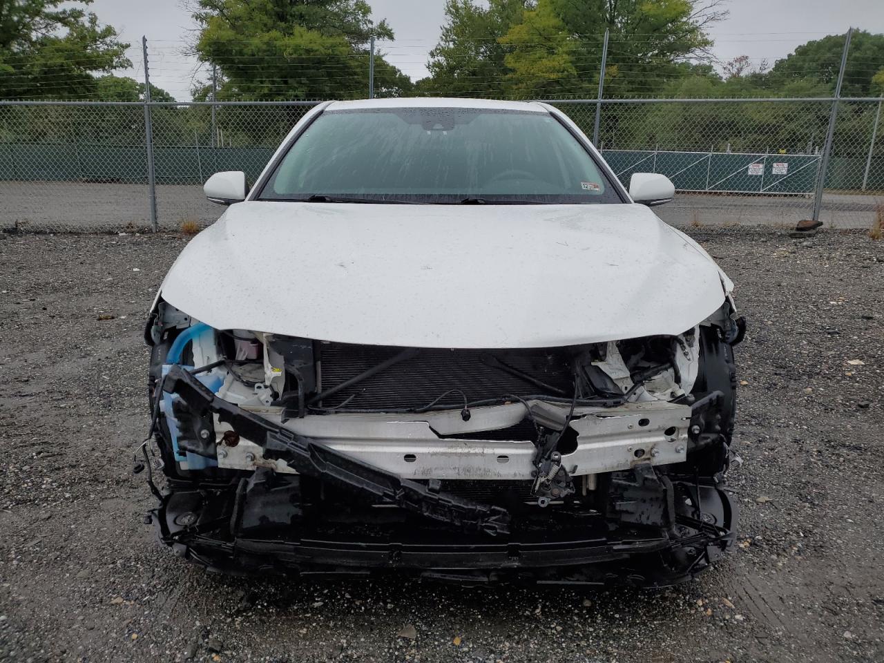 2019 Toyota Camry VIN 4T1B11HK8KU814485 Copart auction photo, front end / minor dent/scratches damage thumbnail 5