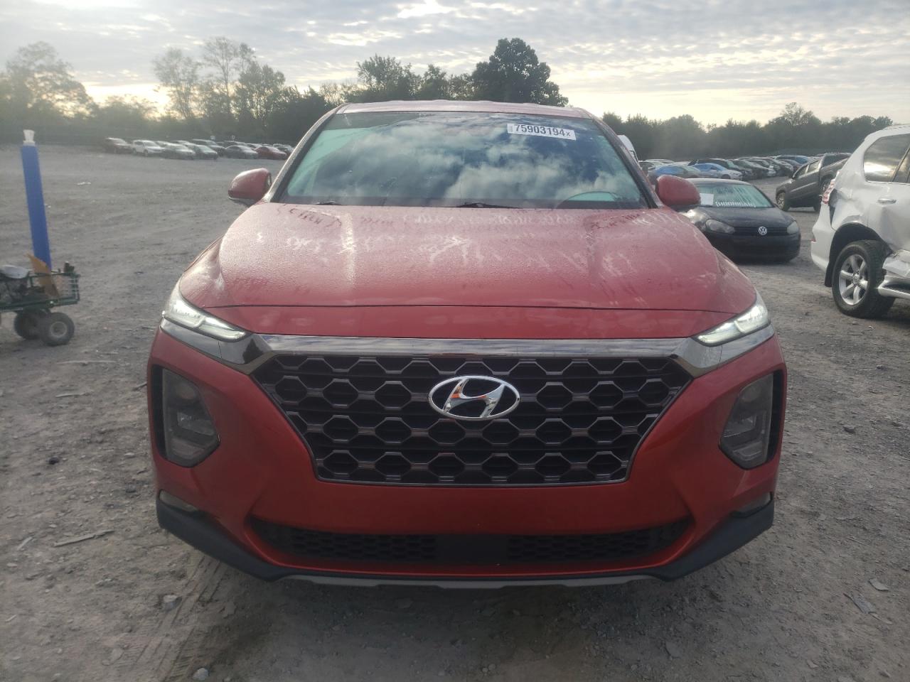 2019 Hyundai Santa Fe VIN 5NMS33AD1KH057569 Copart auction photo, side damage thumbnail 5