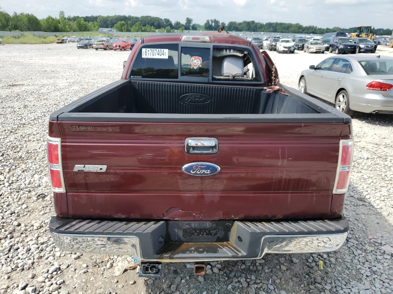 2010 Ford F-150 VIN 1FTEX1E83AFA24491 Copart auction photo, all over damage thumbnail 6