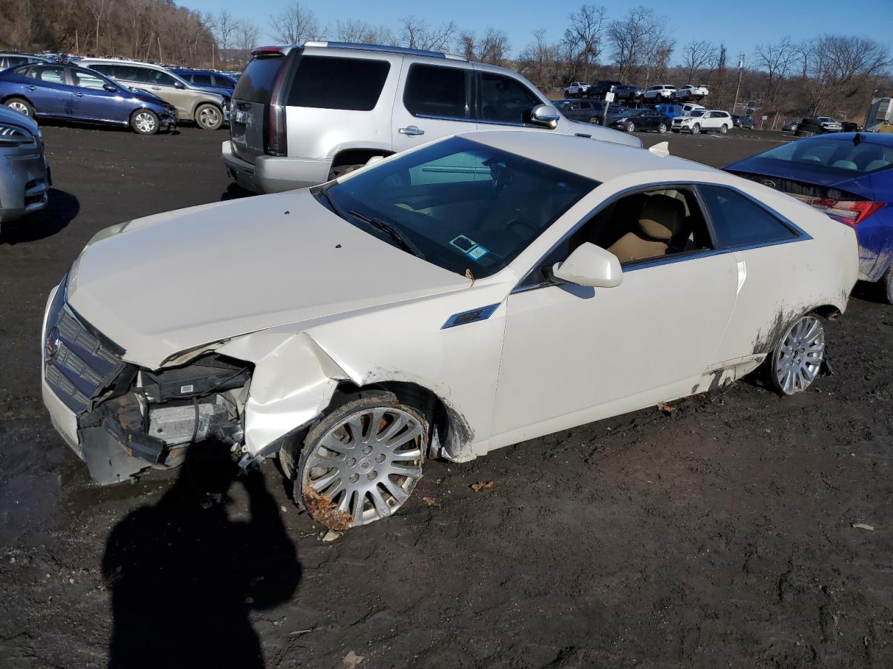 2011 Cadillac CTS VIN 1G6DL1ED0B0108196 - Copart auction photo