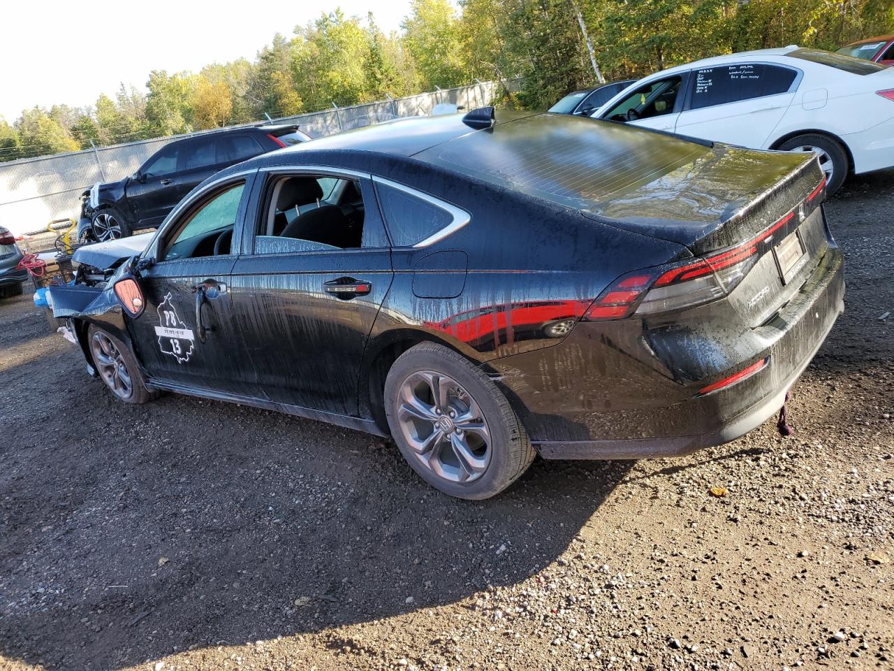 2023 Honda Accord VIN 1HGCY1F33PA800701 Copart auction photo, front end / side damage thumbnail 2