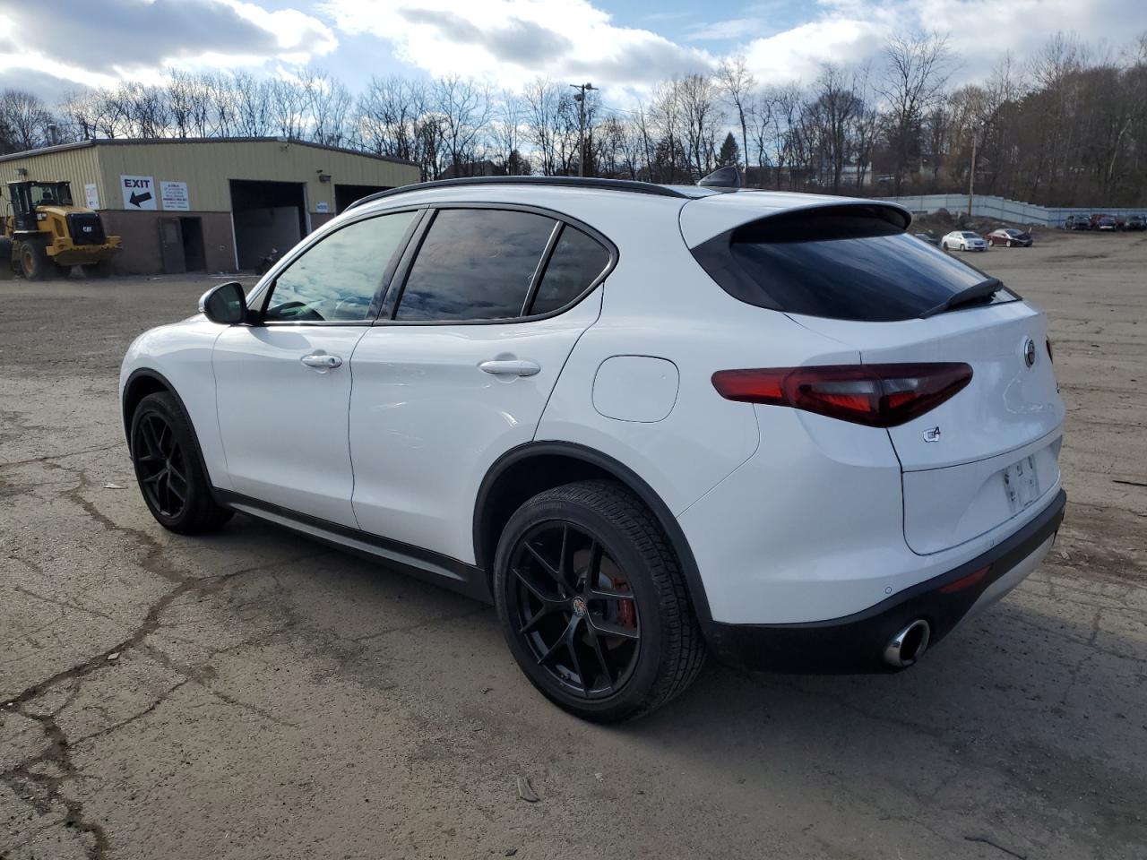 2019 Alfa Romeo Stelvio VIN ZASPAKBN6K7C31762 Copart auction photo, all over damage thumbnail 2