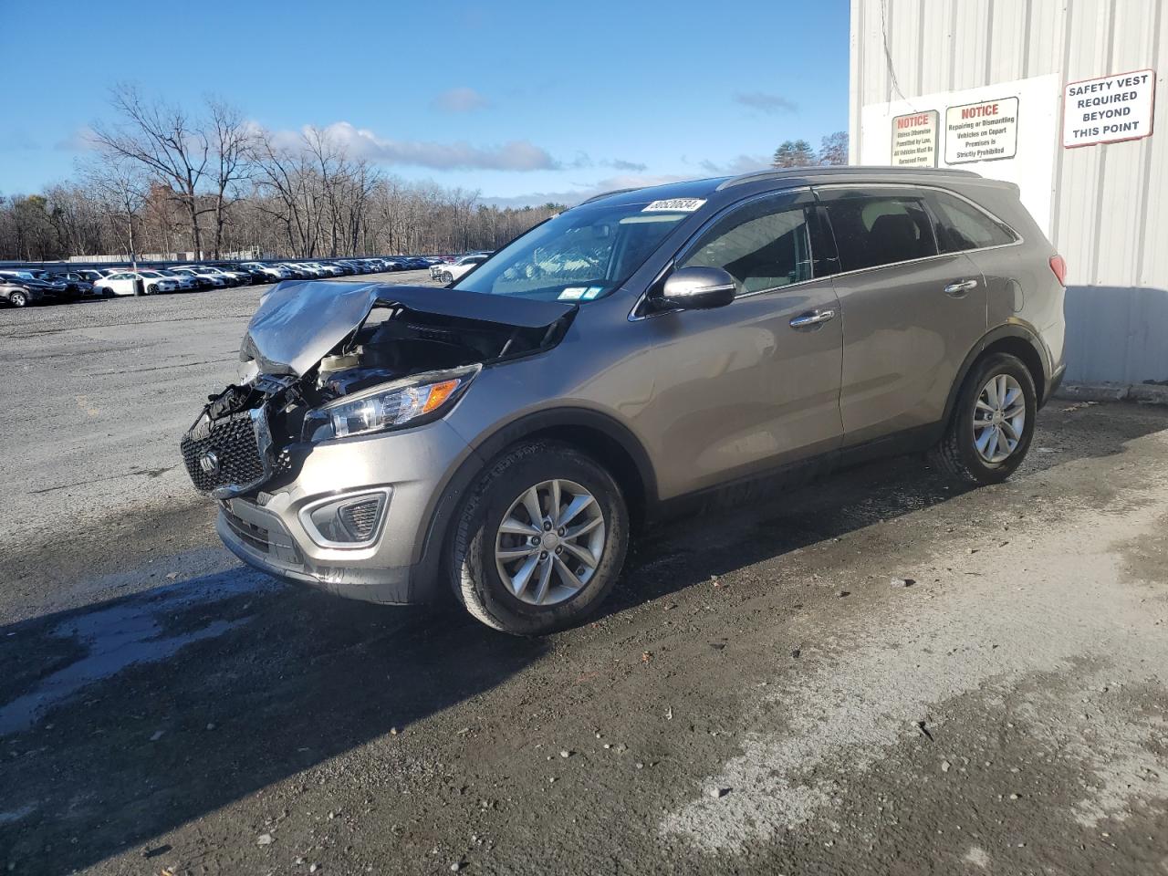 2016 KIA Sorento VIN 5XYPG4A31GG014214