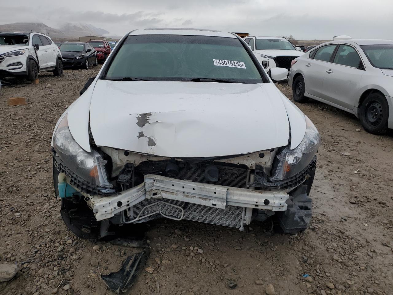 2010 Honda Accord VIN 1HGCP2F82AA148617 Copart auction photo, front end damage thumbnail 5