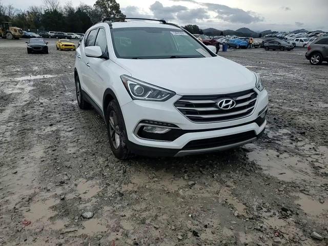 2017 Hyundai Santa Fe VIN 5NMZU3LB6HH025314 Copart auction photo, side damage thumbnail 11