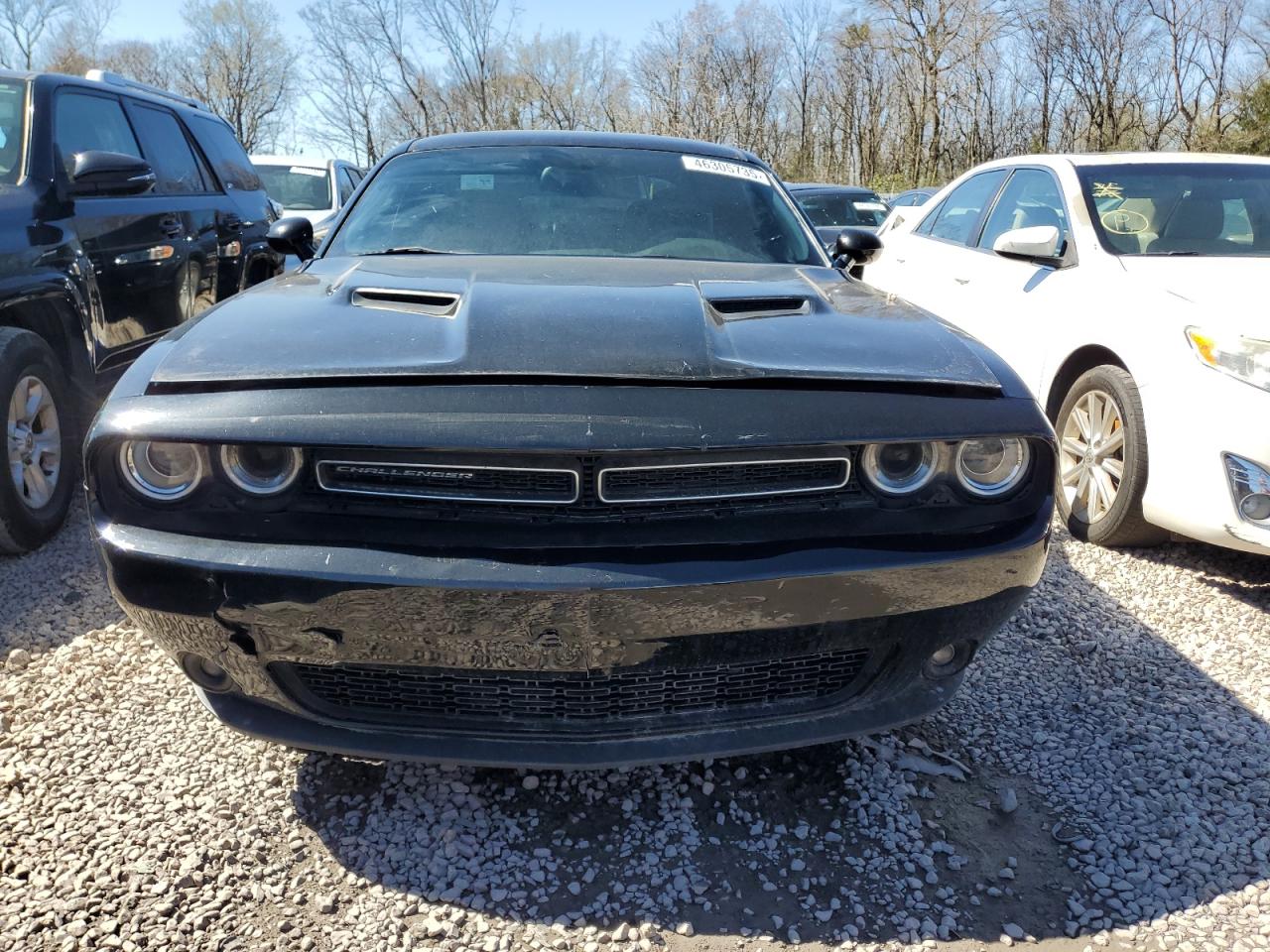 2015 Dodge Challenger VIN 2C3CDZBG4FH705621 Copart auction photo, side damage thumbnail 5