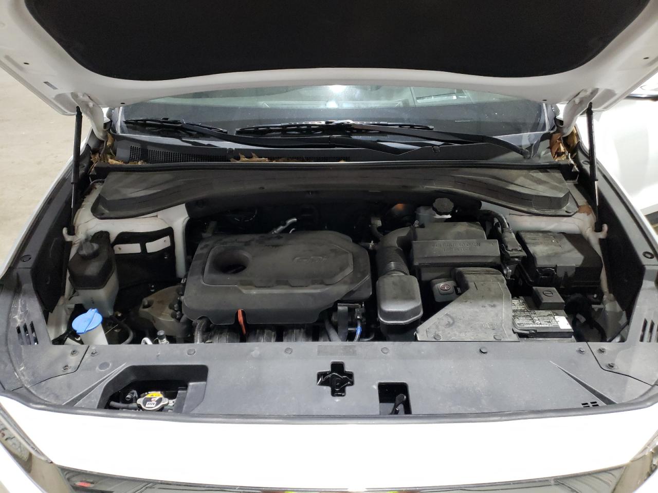 2020 Hyundai Santa Fe VIN 5NMS5CAD2LH282188 Copart auction photo, rear end / undercarriage damage thumbnail 12
