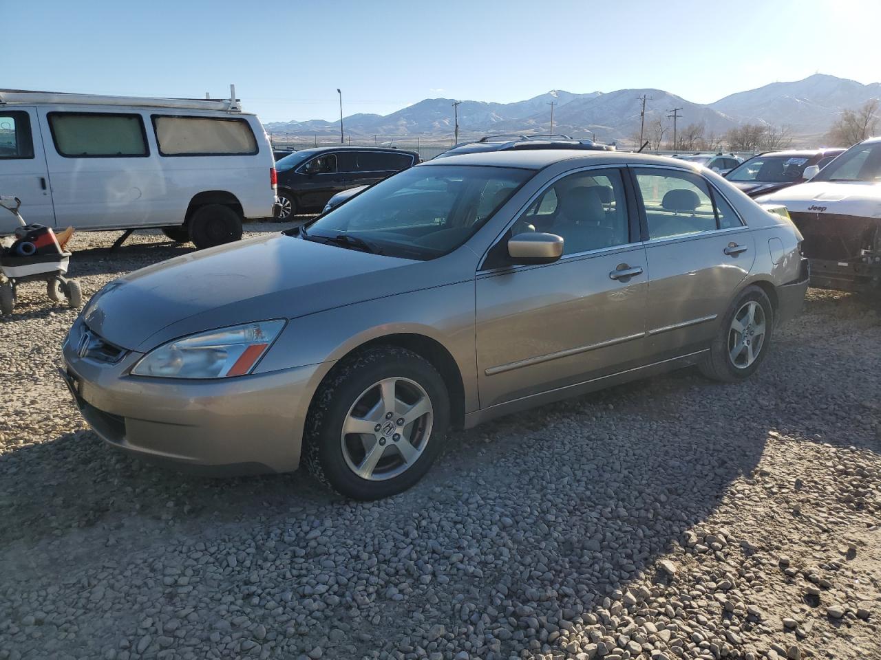 2005 Honda Accord VIN JHMCN36535C015566