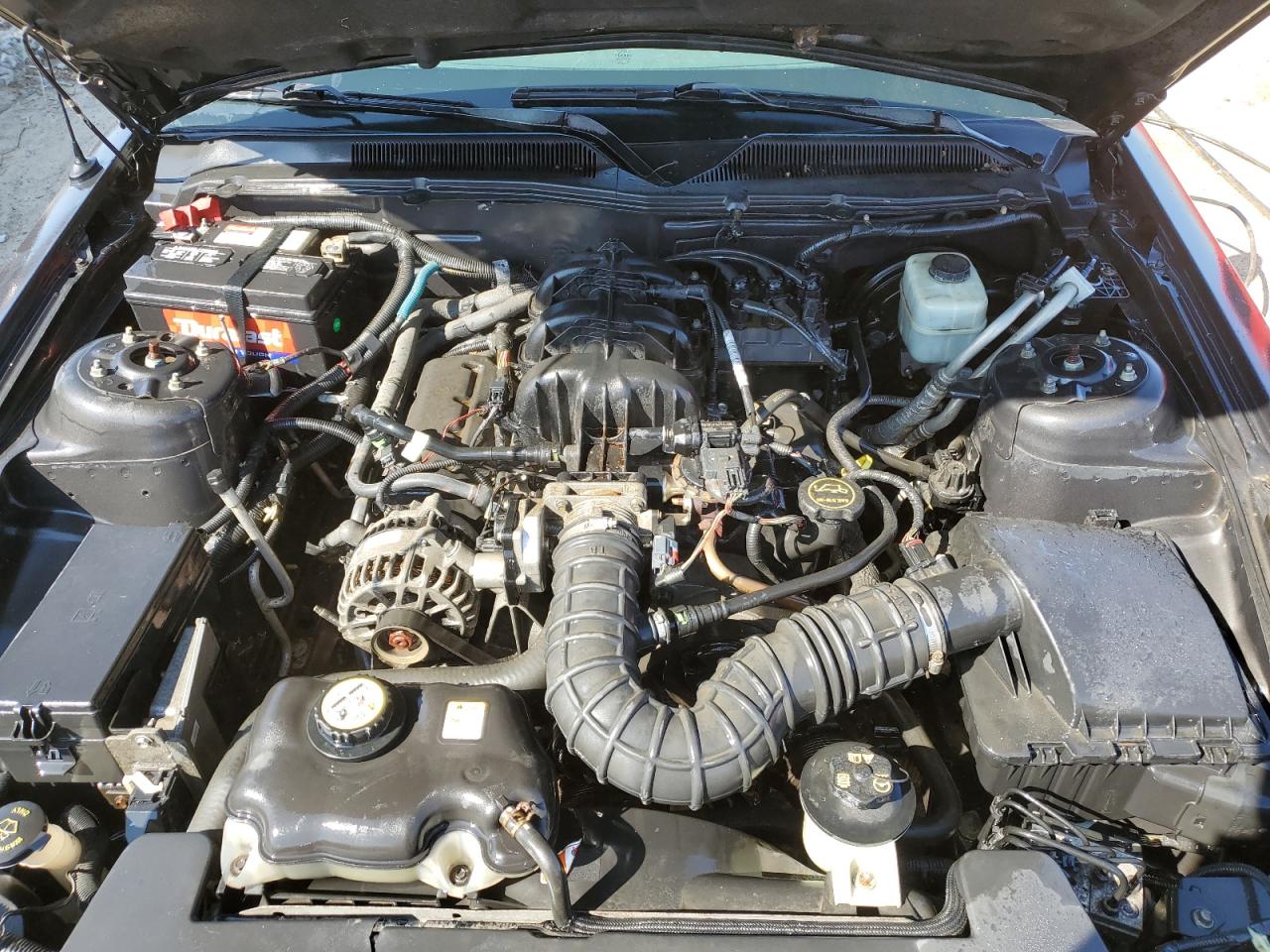 2007 Ford Mustang VIN 1ZVFT80N175248439 Copart auction photo, front end / side damage thumbnail 11