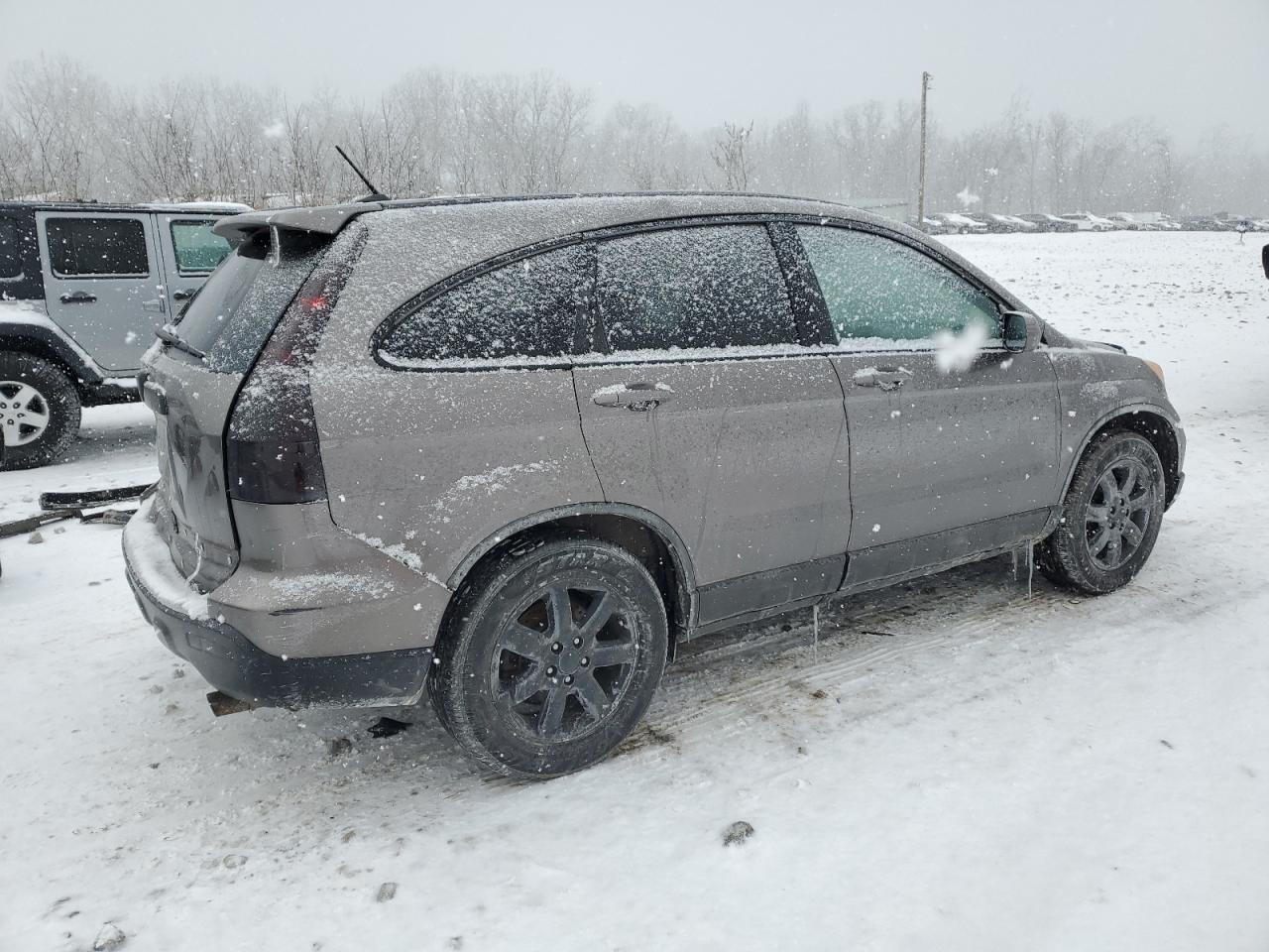 2009 Honda CR-V VIN 5J6RE48709L027867 Copart auction photo, rear end damage thumbnail 3
